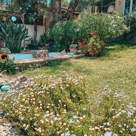 Casa Dulce Vida מארבלה